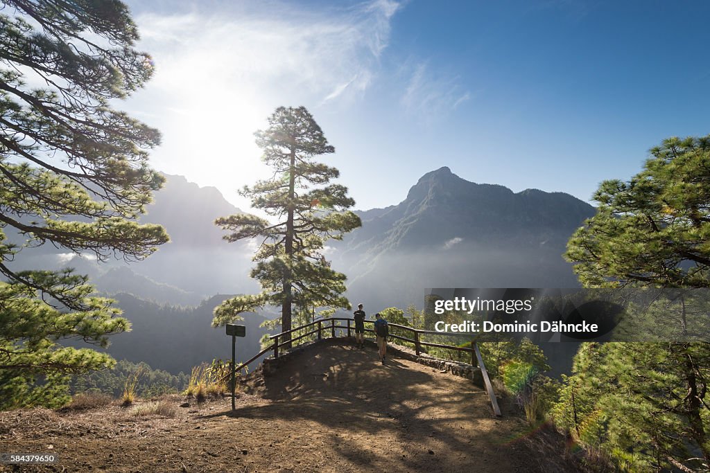 "Caldera de Taburiente" National Park (La Palma island. Canaries. Spain)