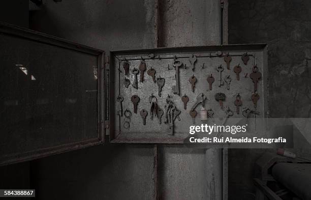 Key Dusty Dusty Key Photos and Premium High Res Pictures - Getty Images