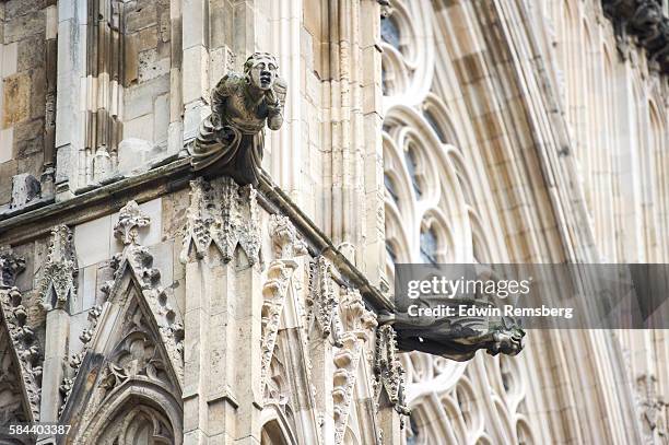 gargoyles - york minster stock pictures, royalty-free photos & images