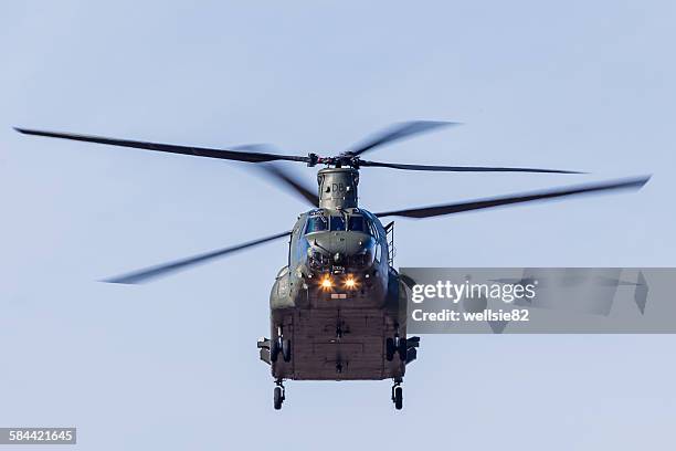 face on with an raf chinook - chinook stock-fotos und bilder