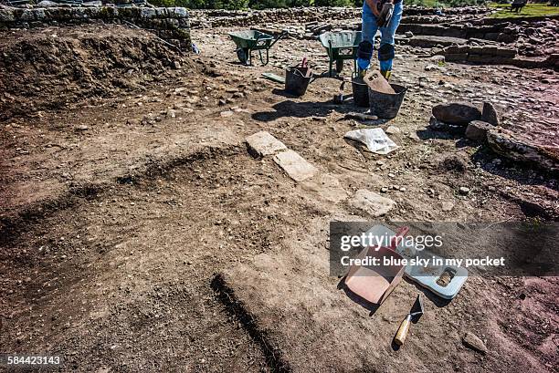 vindolanda archaeology excavation - archeology foto e immagini stock