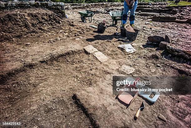 vindolanda archaeology excavation - archeologie stockfoto's en -beelden