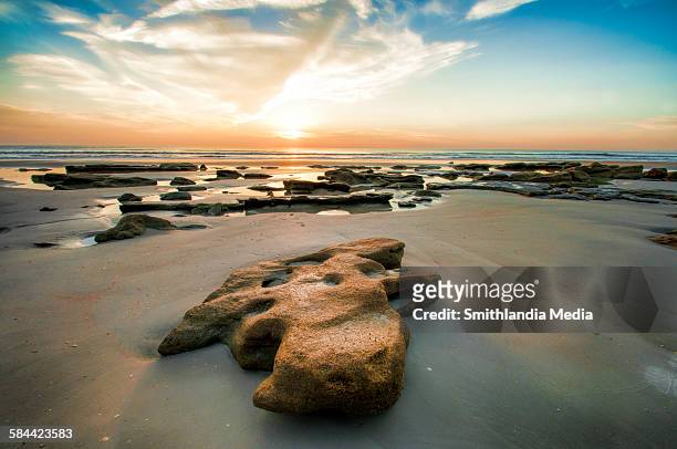 rocky beach sunrise - st augustine florida fotografías e imágenes de stock