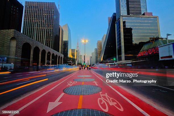 bike lane - sao paulo state foto e immagini stock