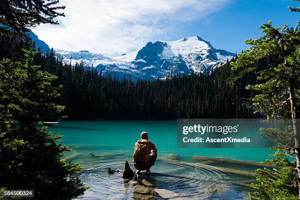 hiker enjoying stunning mountains views - canada lake stock pictures, royalty-free photos & images