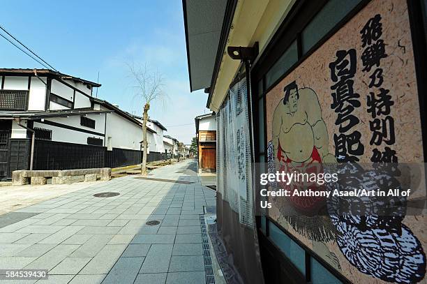 Japan, Tokyo, Yasukuni Shrine, Ceremonial Sumo Tournament on March 31, 2015 in Kyoto, Japan.