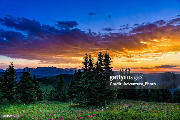 wildblumen in mountain meadow bei sonnenuntergang - vail colorado stock-fotos und bilder