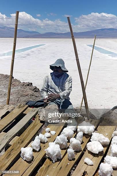 Salt seller in the salt desert Salinas Grandes, Jujuy Province