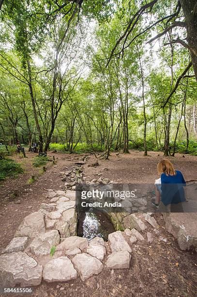 The Fountain of Barenton, close to the hamlet of Folle-Pensee, in the forest of Paimpont. August 2014. The fountain is the spot where, according to...