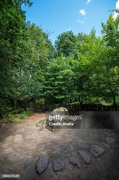 Forest of Paimpont, mythical forest of Broceliande, August 2014: Merlin's tomb . This is where Merlin was imprisoned deliberately and forever by the...