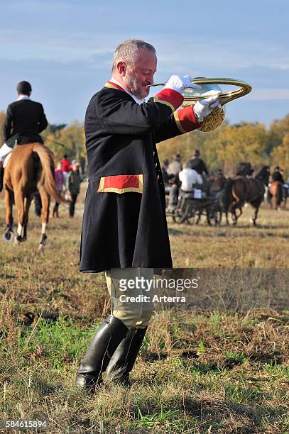 Huntsman blowing hunting horn at drag hunting demonstration in Belgium .