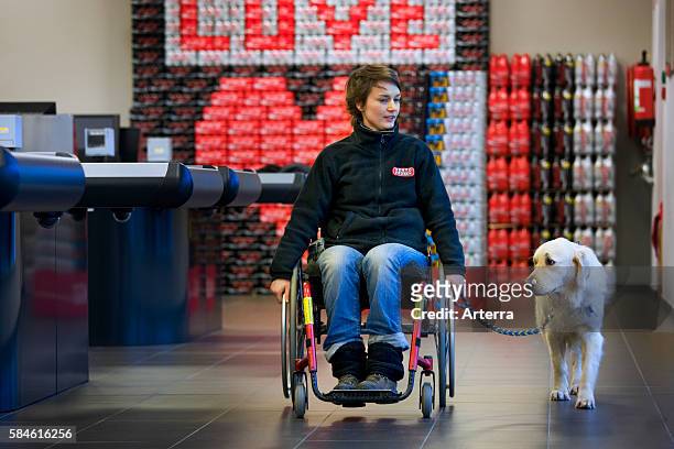 Disabled person in weelchair shopping with Labrador mobility assistance dog in supermarket, Belgium.