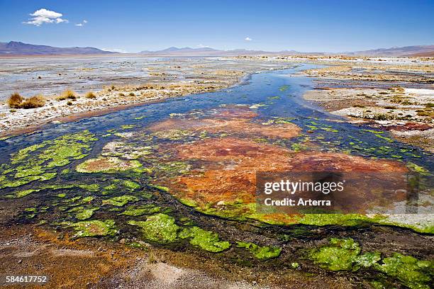 Archaea Photos and Premium High Res Pictures - Getty Images