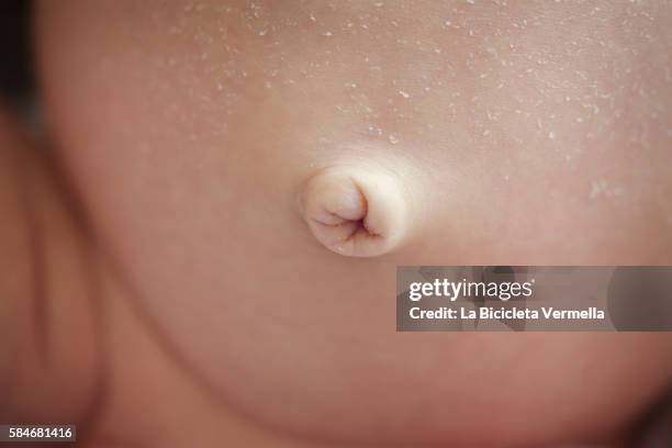 newborn belly button - belly button stock pictures, royalty-free photos & images