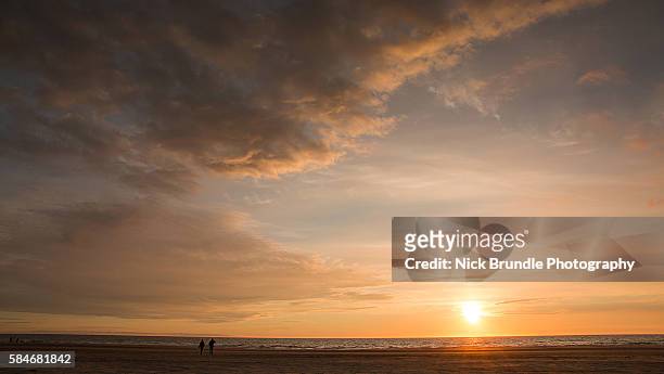 the golden hour - praia noite imagens e fotografias de stock