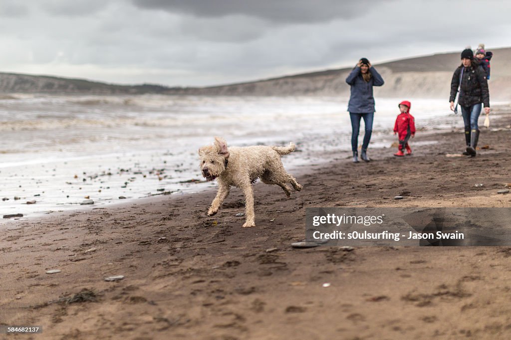 Family Walking the dog on the beach in winter