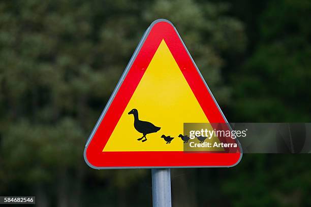 Warning sign for waterfowl and ducks crossing the road.