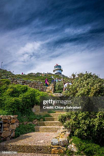 cape point, south africa - cape point stock pictures, royalty-free photos & images