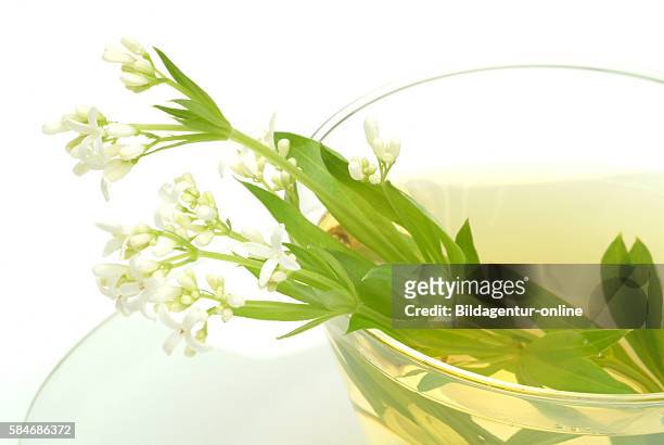 Medicinal tea made of Sweet woodruff, woodrufftea, Galium odoratum, Asperula odorata.