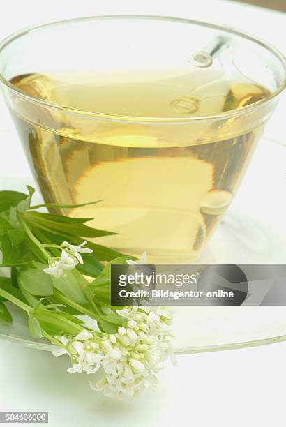 Medicinal tea made of Sweet woodruff, woodrufftea, Galium odoratum, Asperula odorata.