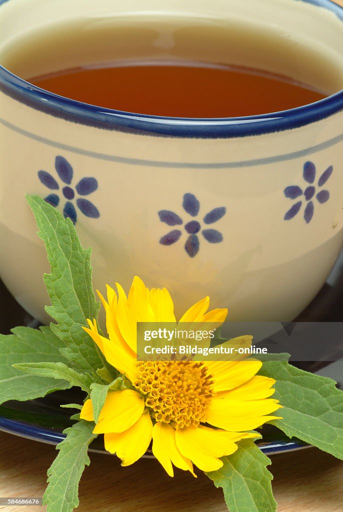 Medicinal tea made of Anil