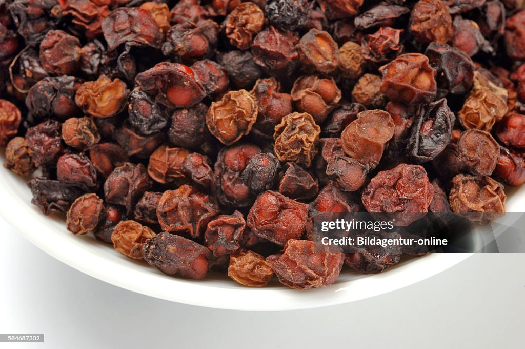 Schisandra