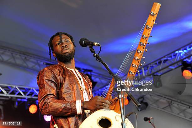 Diabel Cissokho performs on stage during Day 3 of the Womad Festival at Charlton Park on July 30, 2016 in Wiltshire, England.