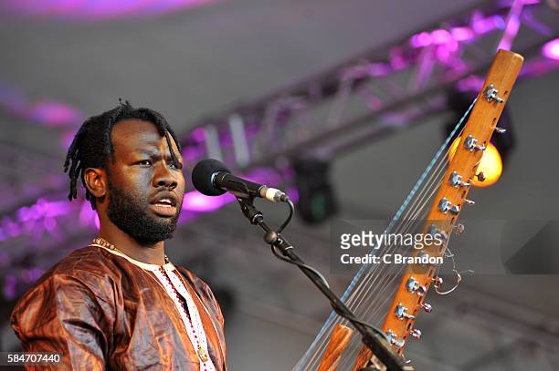 Diabel Cissokho performs on stage during Day 3 of the Womad Festival at Charlton Park on July 30, 2016 in Wiltshire, England.