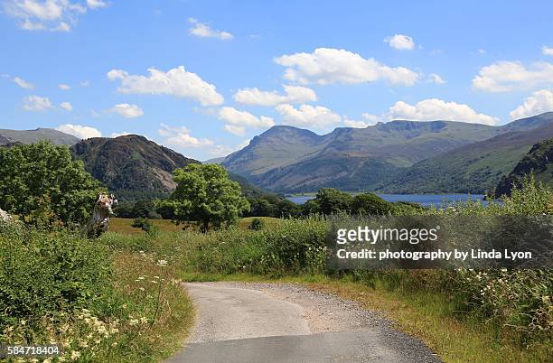view to ennerdale - ennerdale water stock pictures, royalty-free photos & images