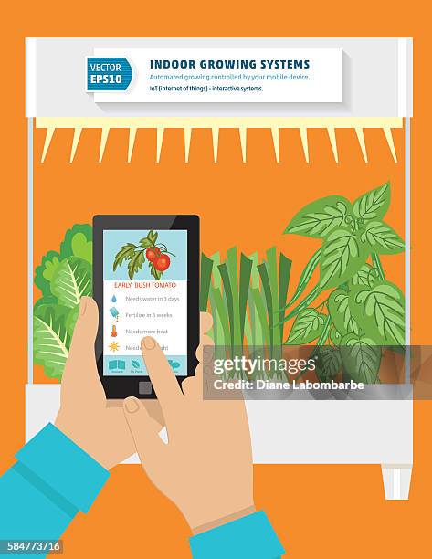 iot hydroponic indoor growing systems concept - hydroponic stock illustrations
