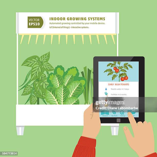iot hydroponic indoor growing systems concept - lettuce growing stock illustrations