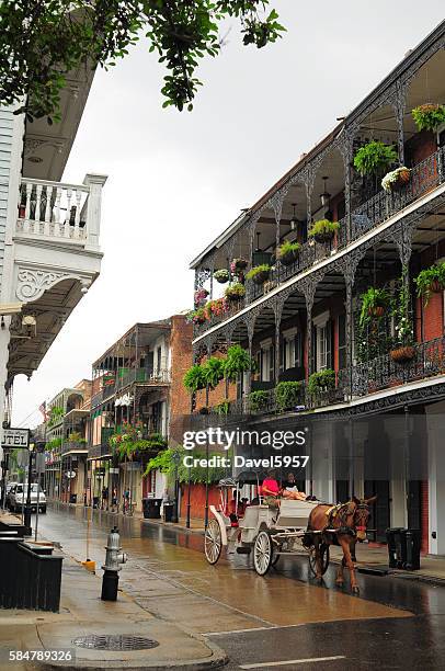 french quarter scene with mule drawn carriage and garden terraces - garden district new orleans stock pictures, royalty-free photos & images