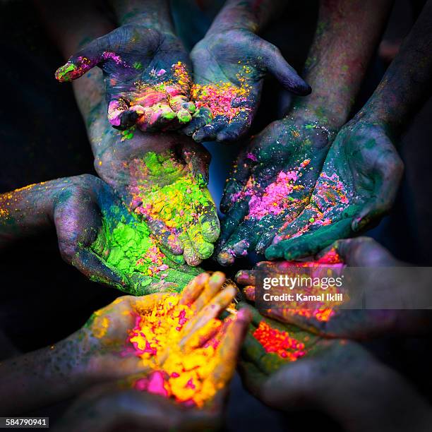 Holi Festival