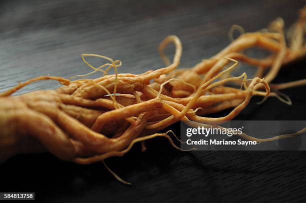 gingseng in black background - ginseng stockfoto's en -beelden