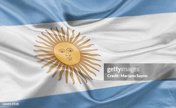 high resolution digital render of argentina flag - argentinian stock illustrations