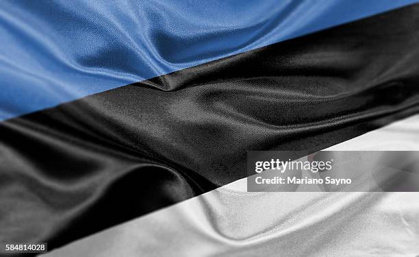 high resolution digital render of estonia flag - estland stock-grafiken, -clipart, -cartoons und -symbole