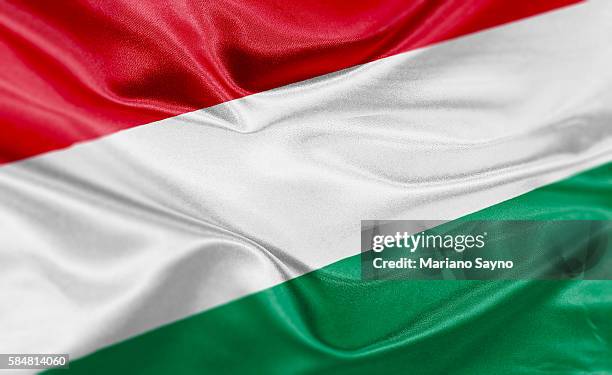 ilustrações, clipart, desenhos animados e ícones de high resolution digital render of hungary flag - hungria