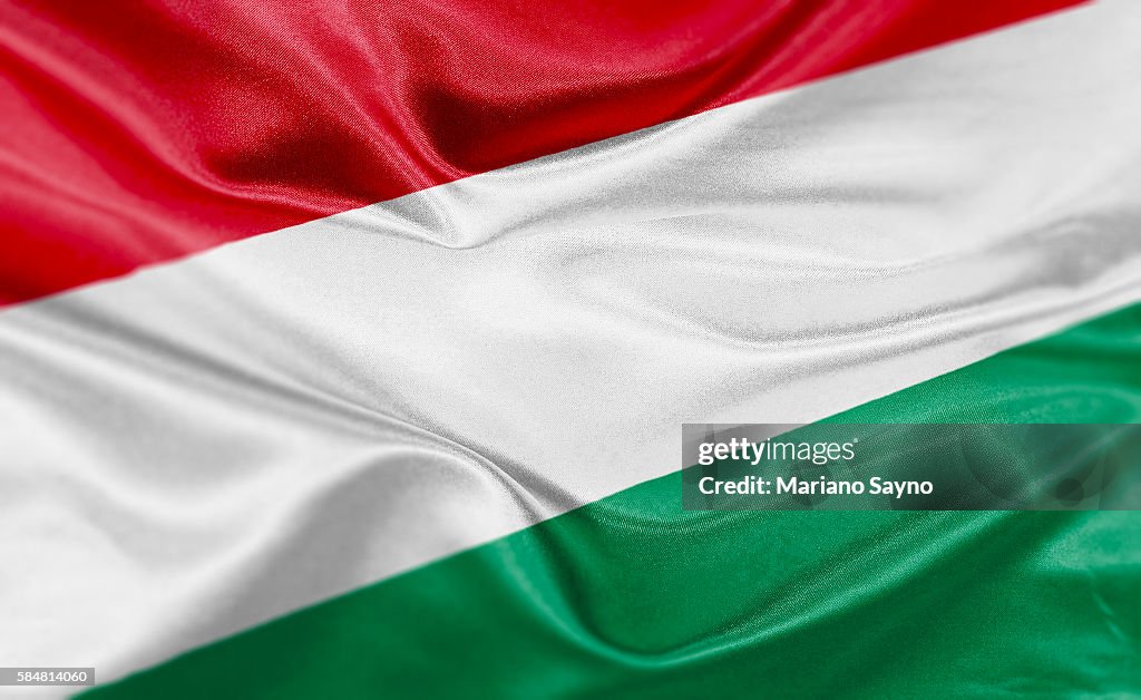 High resolution digital render of Hungary flag