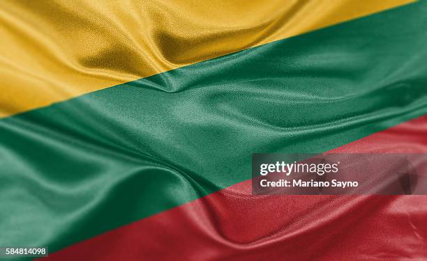 high resolution digital render of lithuania flag - lithuania stock illustrations