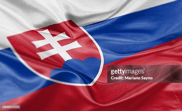 high resolution digital render of slovakia flag - slovakia stock illustrations