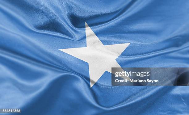 ilustrações, clipart, desenhos animados e ícones de high resolution digital render of somalia flag - somalia