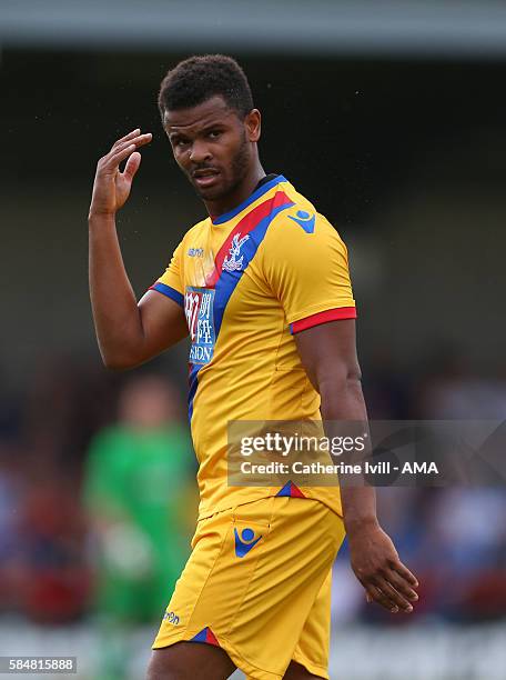 Fraizer Campbell of Crystal Palace during the Pre-Season Friendly match between AFC Wimbledon and Crystal Palace at The Cherry Red Records Stadium on...