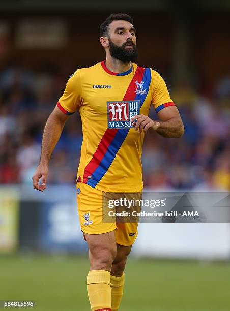 Mile Jedinak of Crystal Palace during the Pre-Season Friendly match between AFC Wimbledon and Crystal Palace at The Cherry Red Records Stadium on...