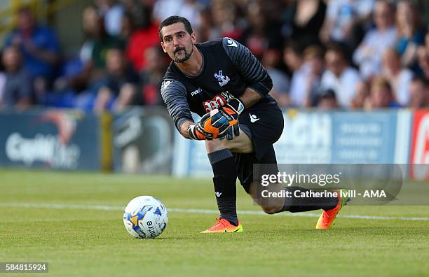 Crystal Palace goalkeeper Julian Speroni during the Pre-Season Friendly match between AFC Wimbledon and Crystal Palace at The Cherry Red Records...