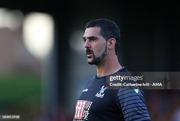 Crystal Palace goalkeeper Julian Speroni during the Pre-Season Friendly match between AFC Wimbledon and Crystal Palace at The Cherry Red Records...