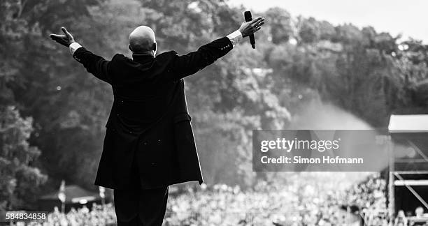 Der Graf of Unheilig performs during Schlosspark Open Air on July 31, 2016 in Weinheim, Germany.