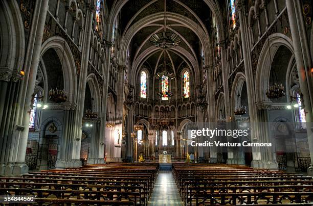 the basilica of our lady of the immaculate conception - bernadette soubirous fotografías e imágenes de stock