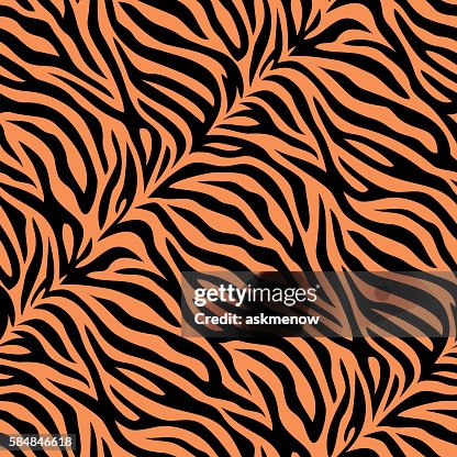 Pelle di tigre modello senza cuciture Pelle di tigre modello senza cuciture