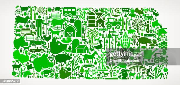 kansas farming and agriculture green icon pattern - kansas cornfield stock illustrations