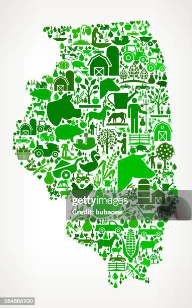 illinois farming and agriculture green icon pattern - illinois countryside stock illustrations